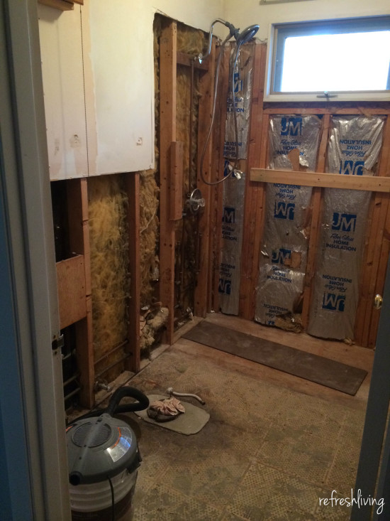 gutted full bathroom before tub and shower