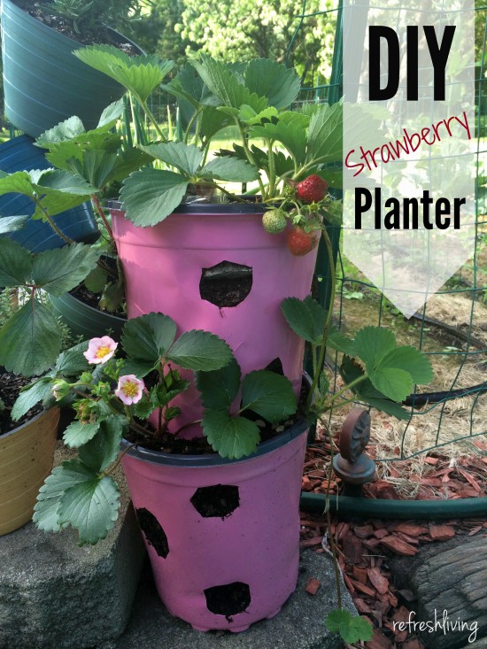 diy strawberry planter pot with self watering
