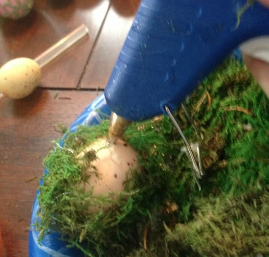 moss covered eggs