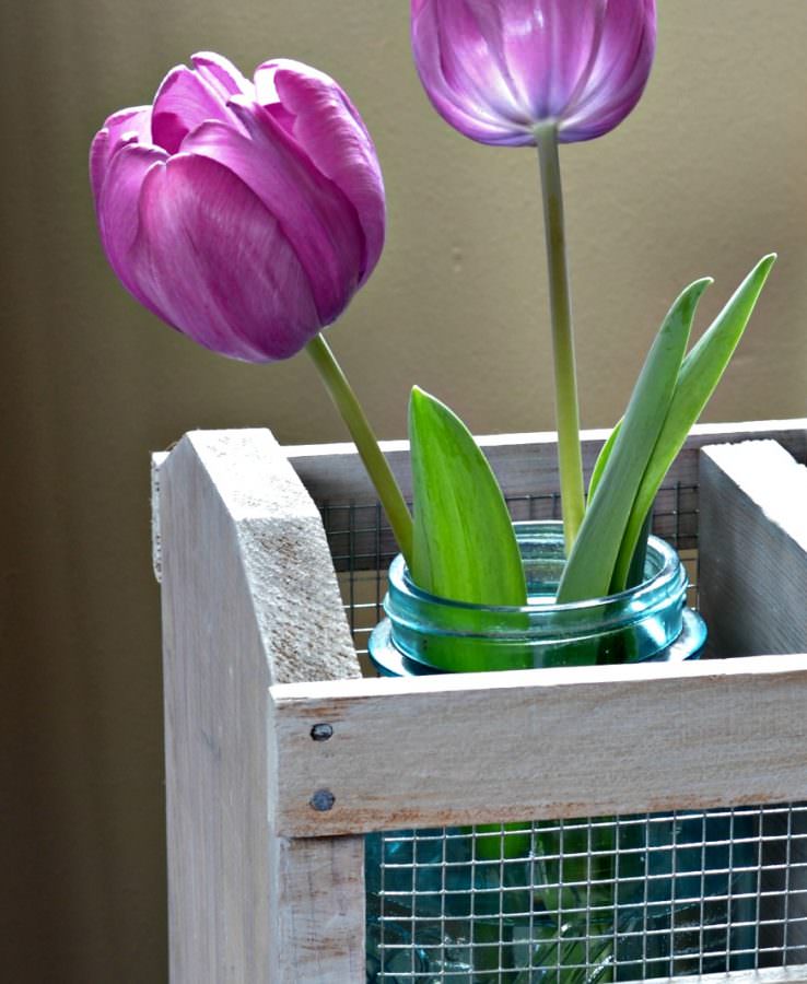 tulips in wooden crate Refresh Living