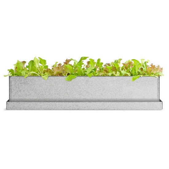 great-gifts-for-homeowners-lettuce-windowsill-garden