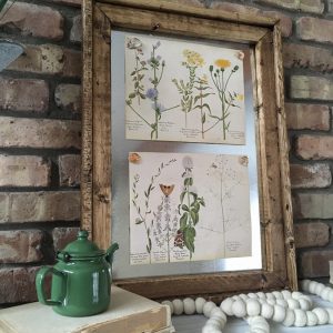 Four free vintage botanical prints are the perfect way to decorate for spring!