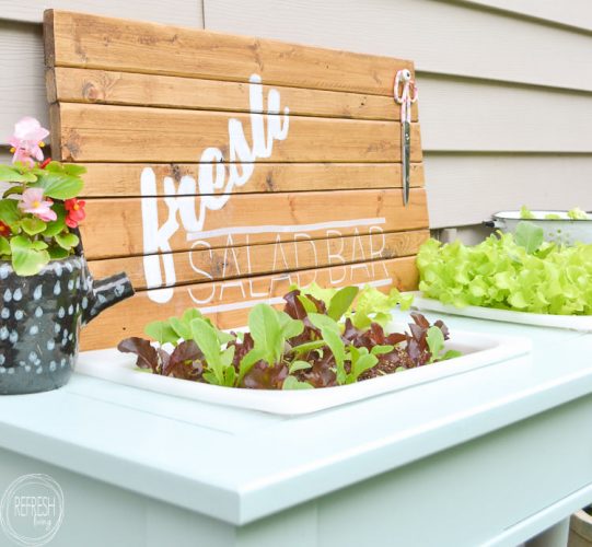 An old sofa table can be reused as a DIY raised garden bed! This is such an easy outdoor project!