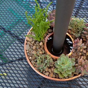 Plant a succulent garden in a jello mold to fit around an umbrella pole - genius! I see these at the thrift store all the time. Now I need to pick one up!