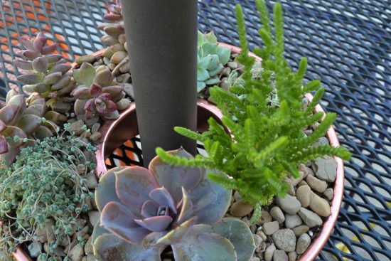 Plant a succulent garden in a jello mold to fit around an umbrella pole - genius! I see these at the thrift store all the time. Now I need to pick one up!