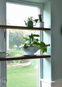 Install floating wood shelves in a window nook in a few easy steps. This indoor garden is planted in vintage enamelware containers.