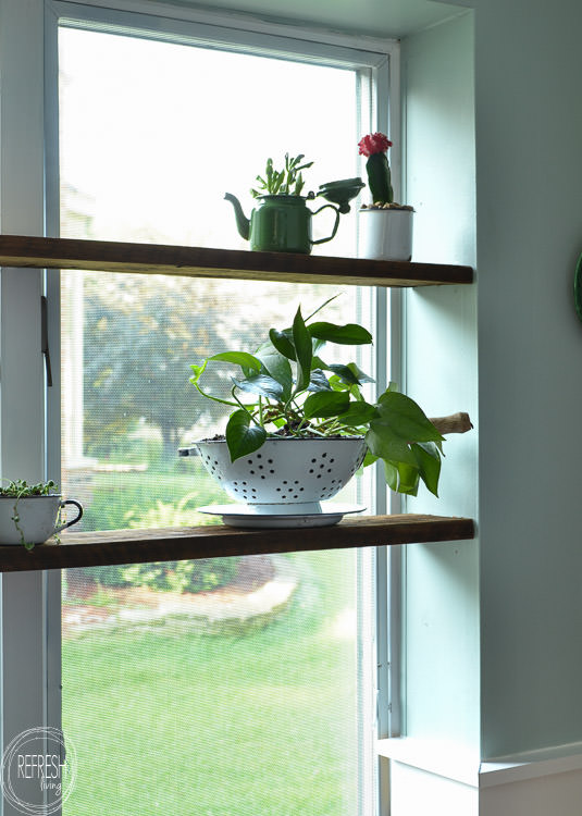 Install floating wood shelves in a window nook in a few easy steps. This indoor garden is planted in vintage enamelware containers. 