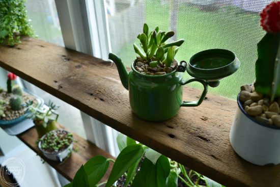 Install floating wood shelves in a window nook in a few easy steps. This indoor garden is planted in vintage enamelware containers. 
