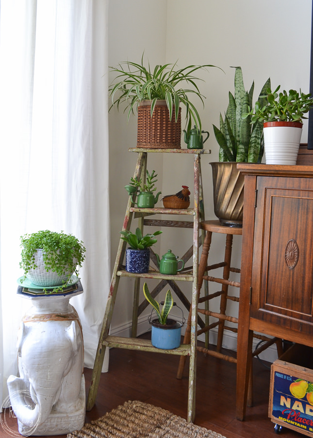 Use a vintage ladder to create a collection of plants in the corner of the living room,