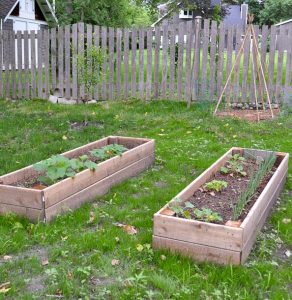 DIY raised garden beds in less than one hour! This project is easy and is a great way to keep your vegetable garden contained and easy to maintain.