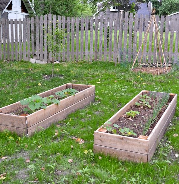 How To Make a Raised Bed Garden