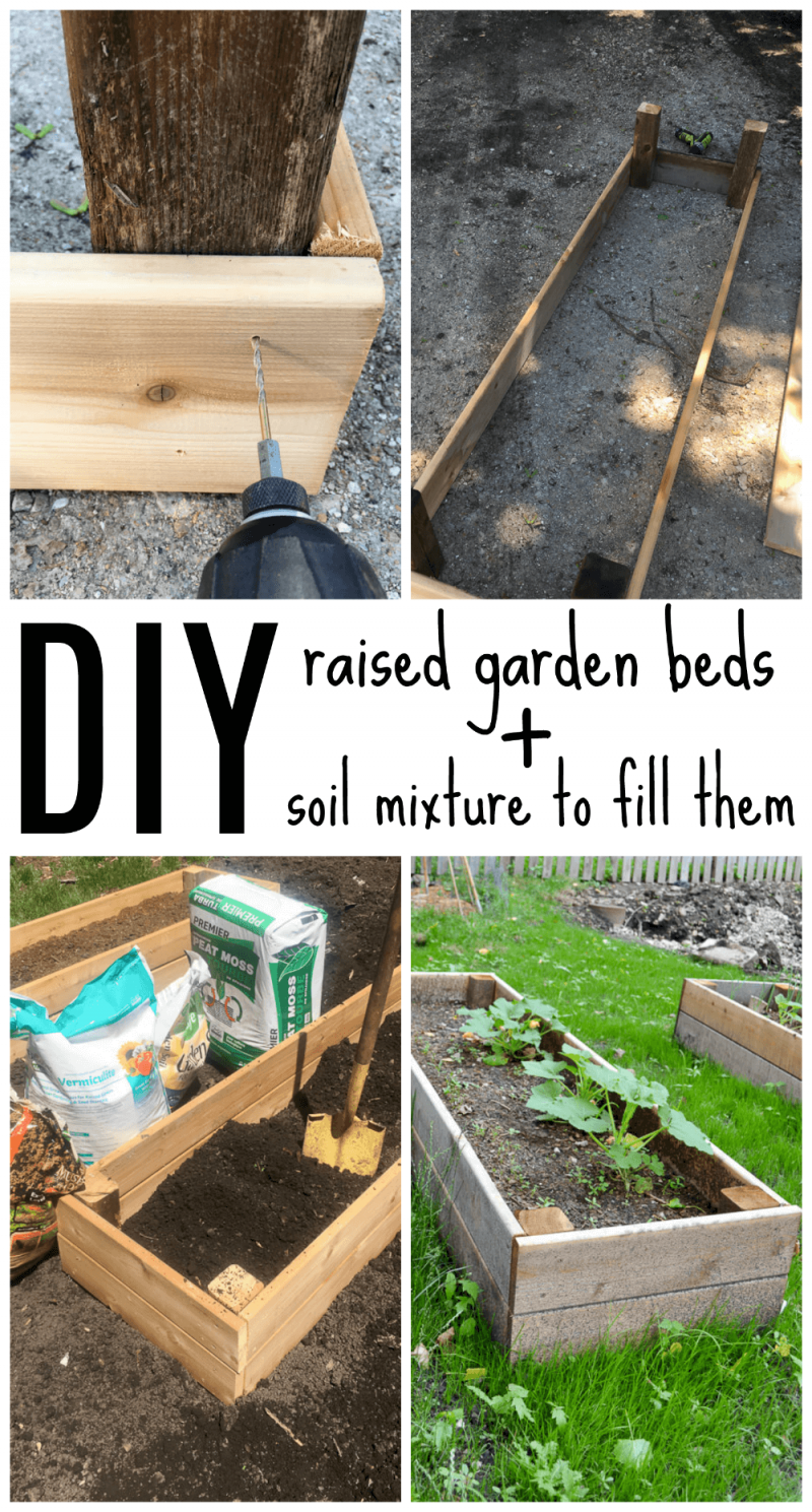 DIY raised garden beds in less than one hour! This project is easy and is a great way to keep your vegetable garden contained and easy to maintain.