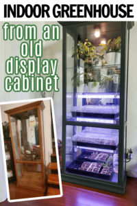 DIY Indoor greenhouse made from an old display cabinet