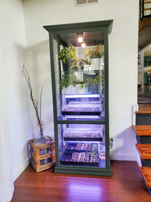 how to make a DIY greenhouse cabinet for indoors from an old display