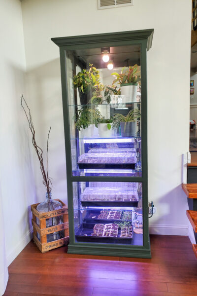 DIY Indoor greenhouse made from an old display cabinet