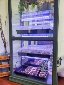 Indoor greenhouse with strip grow lights for starting seeds