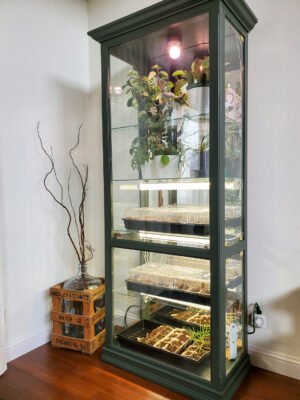 how to make a DIY greenhouse cabinet for indoors from an ...