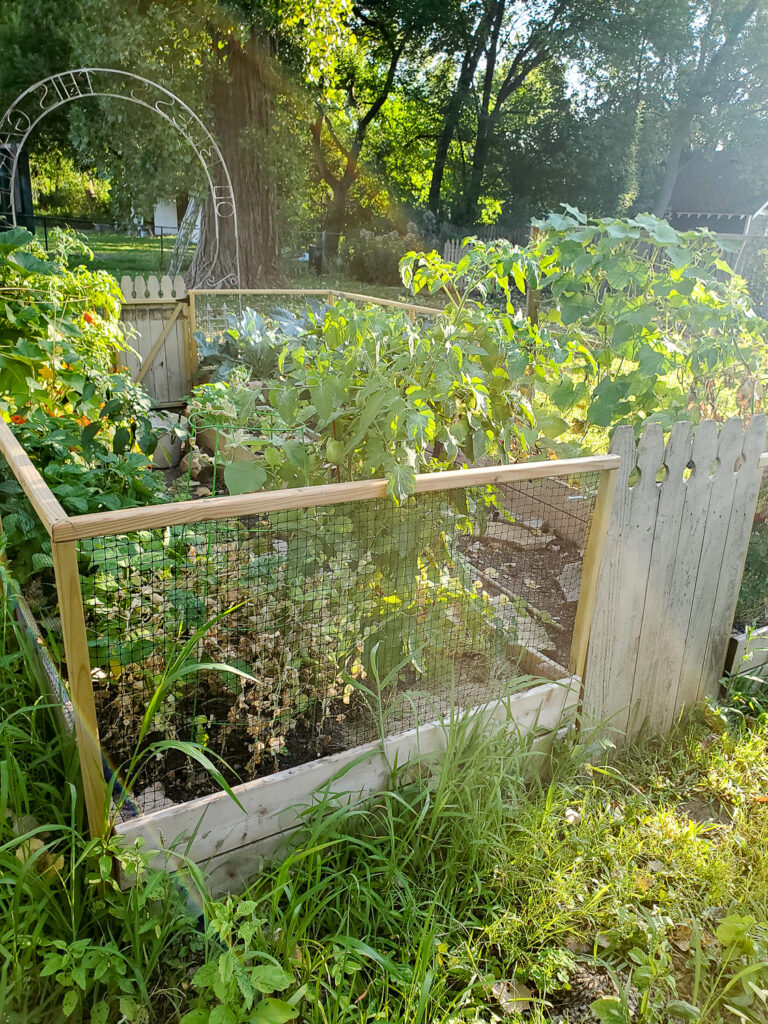how to build a raised garden bed with cedar boards and attached fence