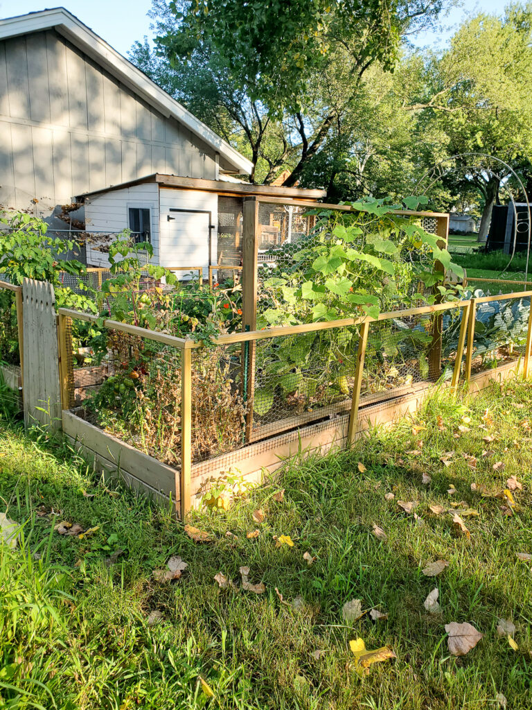 diy vegetable garden fence