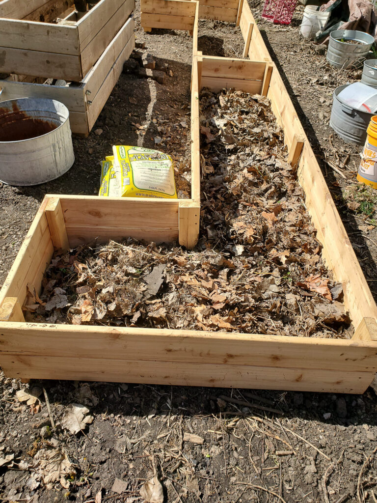 fill raised garden bed with leaves