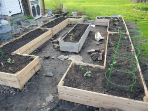 How to build and fill a raised garden bed