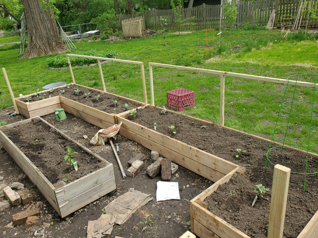 rectangle vegetable garden design with raised garden beds