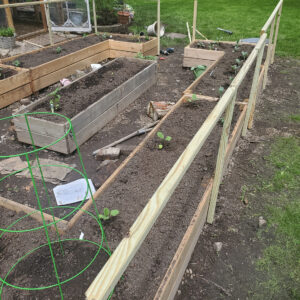 rectangle vegetable garden design with raised garden beds and attached fence
