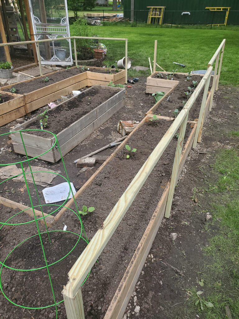 rectangle vegetable garden design with raised garden beds and attached fence