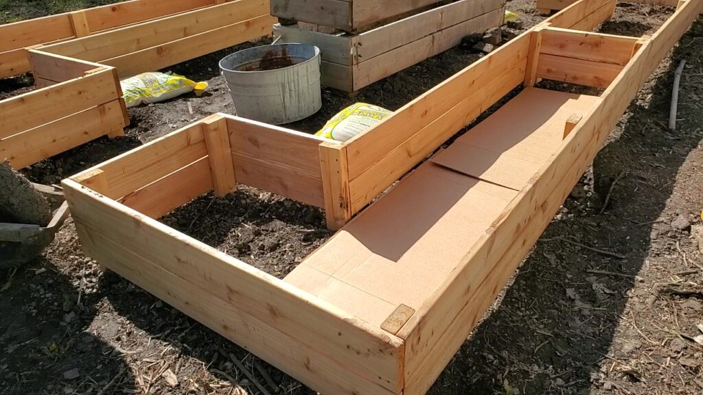 cardboard on the bottom of raised garden beds