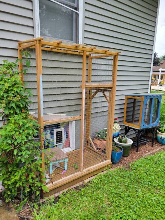 Butterfly Cages for Raising Monarch Caterpillars • Refresh Living