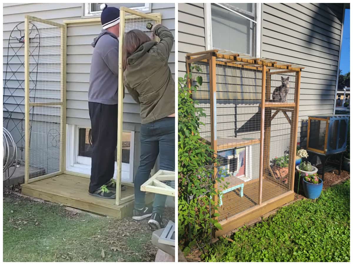 step by step process on how to build a catio for outdoor enclosure for cats