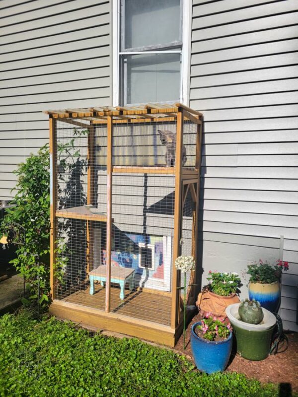 How to Build a Catio (DIY Catio Tutorial) • Refresh Living