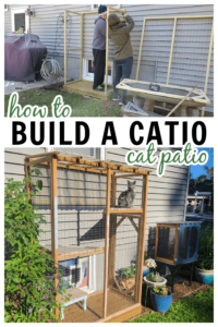 outdoor area for a cat enclosed so it's safe - building plans tutorial
