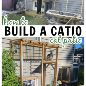 outdoor area for a cat enclosed so it's safe - building plans tutorial